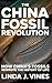 The China Fossil Revolution : How China’s Fossils Rewrote the History of Life