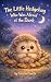 The Little Hedgehog Who Was...
