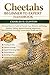 CHEETAHS BEGINNER TO EXPERT HANDBOOK: A Comprehensive Guide to Cheetah Care, Behavior, and Ecology – Feeding, Habitat, Speed & Hunting Adaptations, ... Breeding, Conservation, Health and More.
