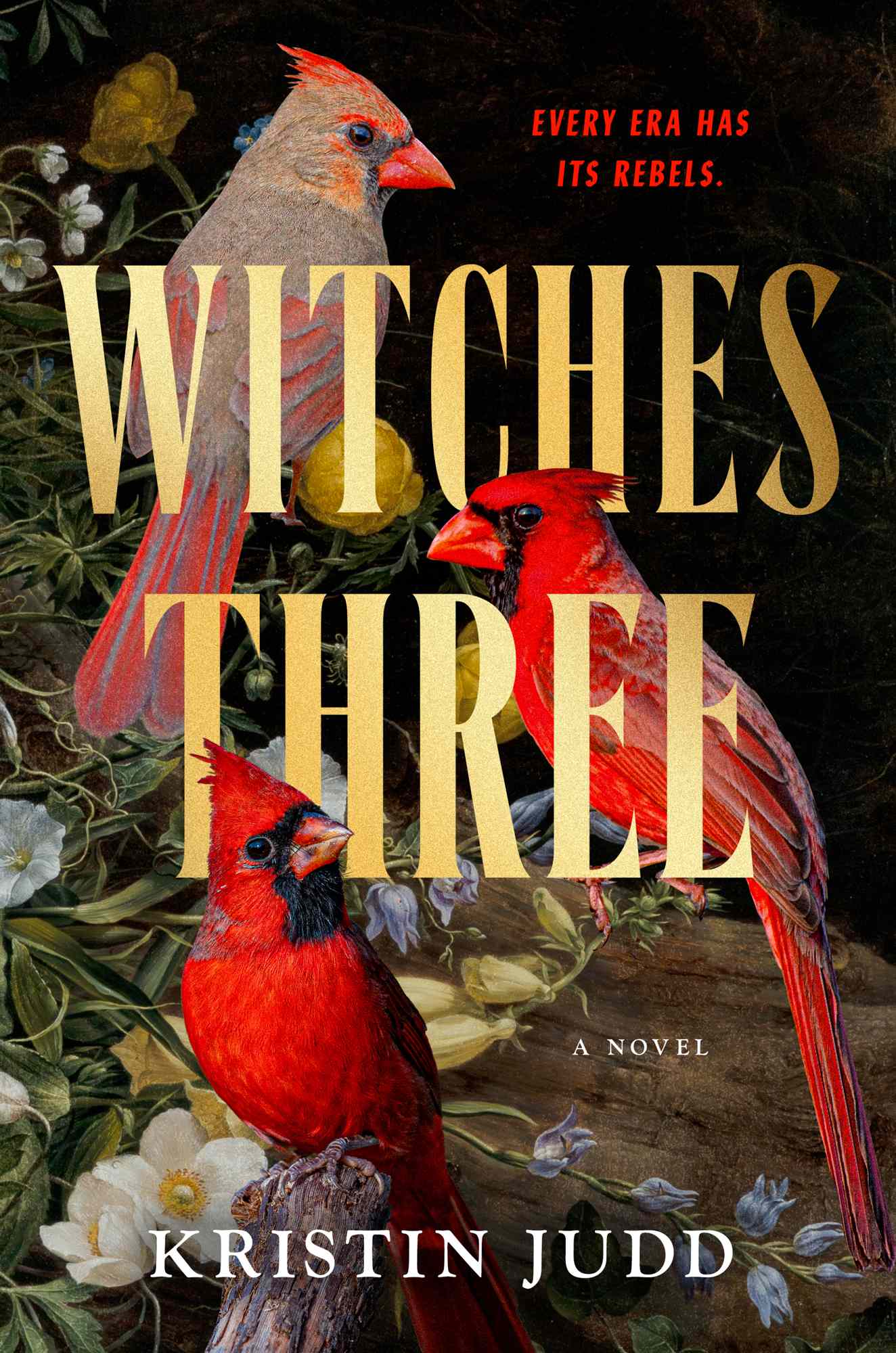 Witches Three (Audible Audio)