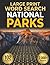 National Parks Word Search: 102 Large Print Themed Puzzles for Adults and Seniors | Wildlife, Trails, Geology, History and More | Over 2,000 Words | Solutions Included