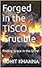 Forged in the TISCO Crucible: Finding Grace in the Grind