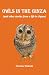 Owls in the Ginza: