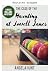 Der Spuk in Lowell Lanes (Die Nicki-Holland-Krimis 6) by Angela Hunt