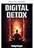 Digital Detox – Nimm dein Leben in einer technikbesessenen Welt zurück (German Edition)
