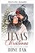 Weihnachten in Texas (Arbeiter in der Lebensmitte) (German Edition)