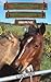 The Horses of Saddlers Ranch: Brownie