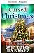 Verfluchte Weihnachten (Mia Watson Kreuzfahrt-Krimis 6) (German Edition)