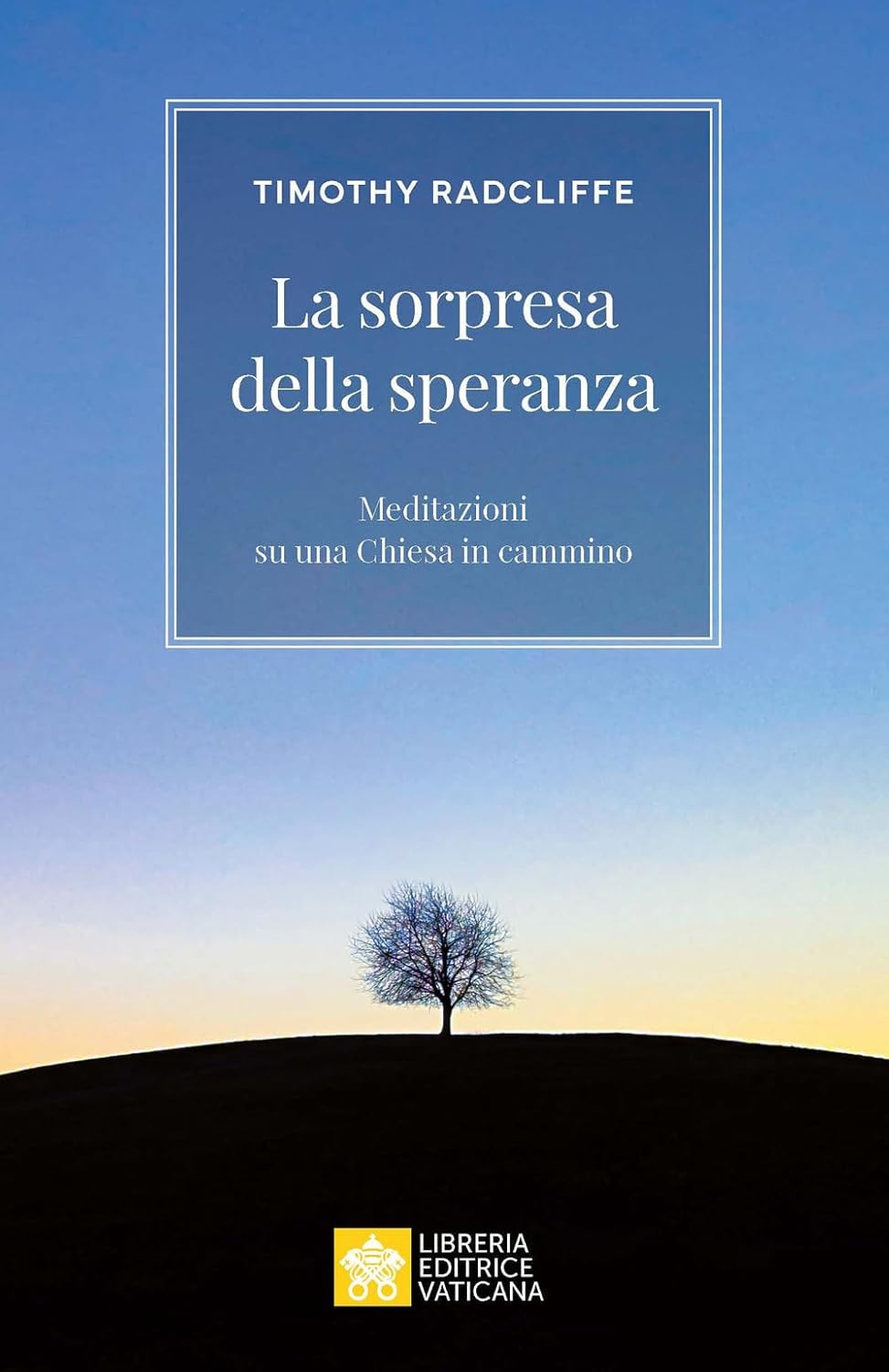 La sorpresa della speranza. Meditazioni su una Chiesa in cammino (Paperback)