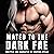 Mated to the Dark Fae: Spicy Instalove Fated Mates Romantasy Short Story