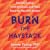 Burn the Haystack: Decode Dating, Torch the Duds, and Make Room for Men Who Matter