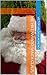 Me ha enviado Santa Claus (Spanish Edition)
