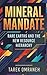 Mineral Mandate: Rare Earths and the New Resource Hierarchy