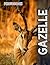 Gazelle Photobook: Stunning Wildlife Images Featuring Elegant Gazelles In Natural Habitats | Nature Photography
