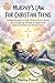 Murphy's Law for Christian Teens: Finding Strength in Faith, Making Wise Choices, and Navigating Teenage Struggles with Biblical Wisdom and Perseverance