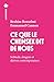 Ce que le chemsex dit de nous - Solitude, drogues et dérives contemporaines