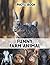 Funny Farm Animal Photo Book: Whimsical Barnyard Collection Pages | 40 Images Pages for Animal Lovers, Laughter Fans
