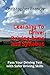 Learning to Drive: Driving Aims and Syllabus (Pass your driving test with safer driving skills)