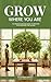 GROW WHERE YOU ARE: The Bridge & Beyond Guide to Growing Food Indoors Year-Round