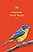 Nearly Ready