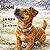 Eddie, la neu - la nieve: Bilingüe Català - Castellà per nens i nenes de 5 i 6 anys. Lletra de pal i lletra lligada (Eddie explora) (Spanish Edition)