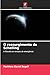O ressurgimento de Schelling by Matthew David Segall