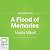 A Flood of Memories