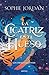 La cicatriz en el hueso (A Fire in the Sky 2)