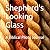 Shepherd's Looking Glass: A Biblical Photo Journal