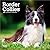 Border Collies | 2027 7 x 14 Inch (Hanging) Monthly Mini Wall Calendar | BrownTrout | Animals Dog Breeds