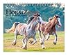 Horse Lovers | 2027 7.5 x 6 Inch Monthly Double-View Easel Desk Calendar | BrownTrout | Animals Horses Equestrian