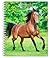 Horse Lovers | 2027 6 x 7.75 Inch Spiral-Bound Wire-O Weekly Engagement Planner Calendar | New Full-Color Image Every Week | BrownTrout | Animals Equestrian