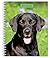 Black Labrador Retrievers | 2027 6 x 7.75 Inch Spiral-Bound Wire-O Weekly Engagement Planner Calendar | New Full-Color Image Every Week | BrownTrout | Animals Dog Breeds