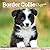 Border Collie Puppies | 2027 7 x 14 Inch (Hanging) Monthly Mini Wall Calendar | BrownTrout | Animals Dog Breeds Puppy