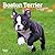 Boston Terrier Puppies | 2027 7 x 14 Inch (Hanging) Monthly Mini Wall Calendar | BrownTrout | Animals Dog Breeds Puppy
