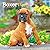 Boxer Puppies | 2027 7 x 14 Inch (Hanging) Monthly Mini Wall Calendar | BrownTrout | Animals Dog Breeds Puppy
