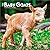 Baby Goats | 2027 7 x 14 Inch (Hanging) Monthly Mini Wall Calendar | BrownTrout | Domestic Animals