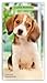 I Love Puppies | 2027-2028 3.5 x 6.5 Inch Two Year Monthly Pocket Planner Calendar | BrownTrout | Animals Dog Breeds Puppy