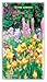 In the Garden | 2027-2028 3.5 x 6.5 Inch Two Year Monthly Pocket Planner Calendar | BrownTrout | Flowers Outdoor Home Nature