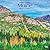 Maine Wild & Scenic | 2027 12 x 24 Inch (Hanging) Monthly Square Wall Calendar | Plastic-Free | BrownTrout | USA United States of America Northeast State Nature
