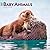 Baby Animals | 2027 12 x 24 Inch (Hanging) Monthly Square Wall Calendar | Plastic-Free | BrownTrout | Domestic Pets Chicken Small Cute