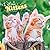 I Love Kittens | 2027 12 x 24 Inch (Hanging) Monthly Square Wall Calendar | Plastic-Free | BrownTrout | Animals Cats Feline