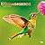 Hummingbirds | 2027 12 x 24 Inch (Hanging) Monthly Square Wall Calendar | Foil Stamped Cover | Plastic-Free | BrownTrout | Animals Wildlife