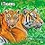 Tigers | 2027 12 x 24 Inch (Hanging) Monthly Square Wall Calendar | Plastic-Free | BrownTrout | Wildlife Zoo Animals