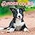 Border Collie Puppies | 2027 12 x 24 Inch (Hanging) Monthly Square Wall Calendar | Plastic-Free | BrownTrout | Animals Dog Breeds Collie Puppy