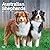 Australian Shepherds | 2027 12 x 24 Inch (Hanging) Monthly Square Wall Calendar | Plastic-Free | BrownTrout | Animals Dog Breeds