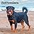 Rottweilers | 2027 12 x 24 Inch (Hanging) Monthly Square Wall Calendar | Plastic-Free | BrownTrout | Animals Dog Breeds