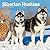 Siberian Huskies | 2027 12 x 24 Inch (Hanging) Monthly Square Wall Calendar | Plastic-Free | BrownTrout | Animal Dog Breeds