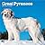 Great Pyrenees | 2027 12 x 24 Inch (Hanging) Monthly Square Wall Calendar | Plastic-Free | BrownTrout | Animals Dog Breeds