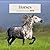 2027 Horses Wall Calendar